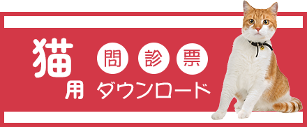 猫用問診票ダウンロード