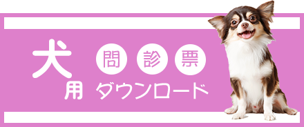 犬用問診票ダウンロード